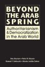 Beyond The Arab Spring - Preview