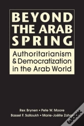Beyond The Arab Spring