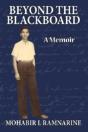Beyond The Blackboard: A Memoir - Preview