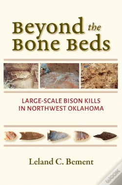 Capa do artigo Beyond The Bone Beds