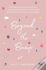 Capa do artigo Beyond The Bump