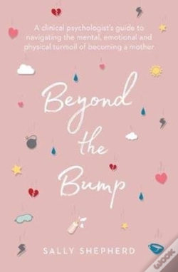 Capa do artigo Beyond The Bump