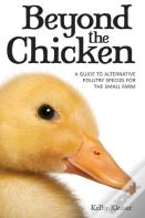 Beyond The Chicken