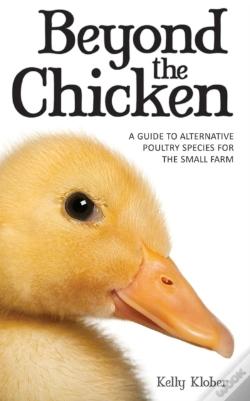 Capa do artigo Beyond The Chicken