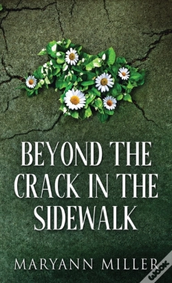 Capa do artigo Beyond The Crack In The Sidewalk