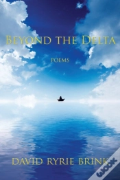 Capa do artigo Beyond The Delta