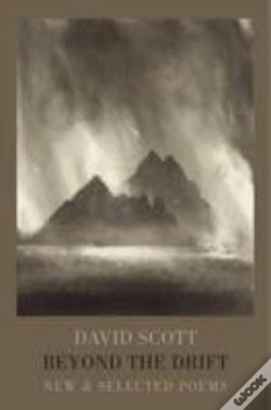 Capa do artigo Beyond The Drift