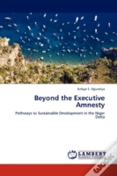Beyond The Executive Amnesty