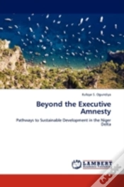 Capa do artigo Beyond The Executive Amnesty