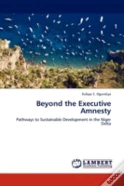 Capa do artigo Beyond The Executive Amnesty