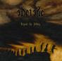 Beyond the Fallacy - CD - Preview