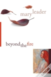 Capa do artigo Beyond The Fire