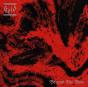 Beyond the Floor - Vinil - Preview