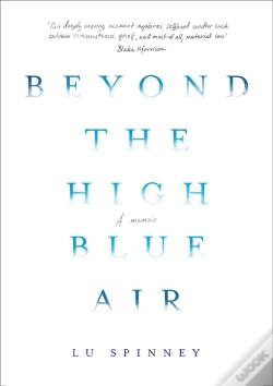 Capa do artigo Beyond The High Blue Air