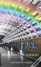 Capa do artigo Beyond The Indigo
