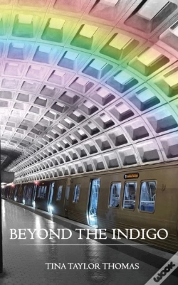Capa do artigo Beyond The Indigo