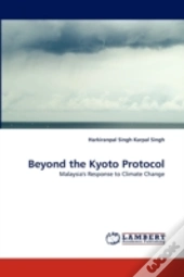 Beyond The Kyoto Protocol