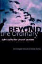 Beyond The Ordinary - Preview
