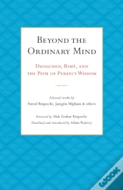 Capa do artigo Beyond The Ordinary Mind