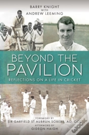 Capa do artigo Beyond The Pavilion