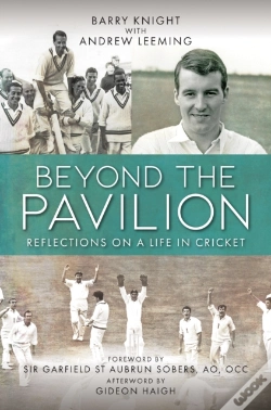 Capa do artigo Beyond The Pavilion