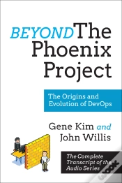 Capa do artigo Beyond The Phoenix Project