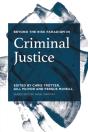 Beyond The Risk Paradigm In Criminal Justice - Preview