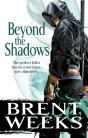 Beyond The Shadows - Preview