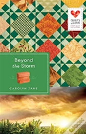 Capa do artigo Beyond The Storm