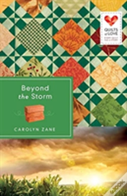 Capa do artigo Beyond The Storm