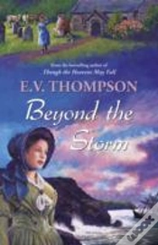 Capa do artigo Beyond The Storm