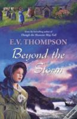 Capa do artigo Beyond The Storm