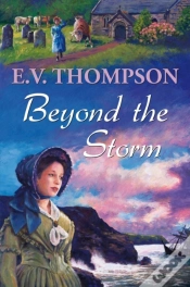 Capa do artigo Beyond The Storm