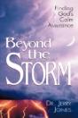 Beyond The Storm - Preview