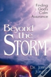 Capa do artigo Beyond The Storm