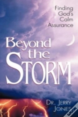 Capa do artigo Beyond The Storm