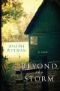 Beyond The Storm - Preview