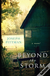 Capa do artigo Beyond The Storm