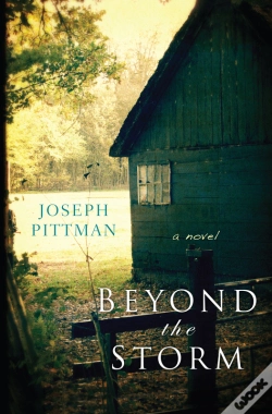 Capa do artigo Beyond The Storm