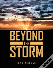Capa do artigo Beyond The Storm