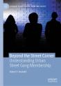 Beyond The Street Corner - Preview