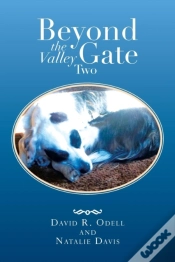 Capa do artigo Beyond The Valley Gate Two