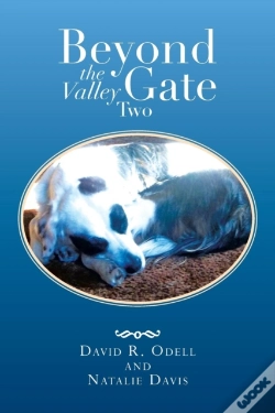 Capa do artigo Beyond The Valley Gate Two