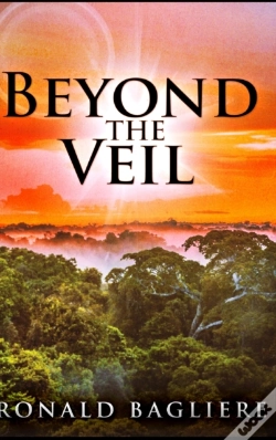 Capa do artigo Beyond The Veil