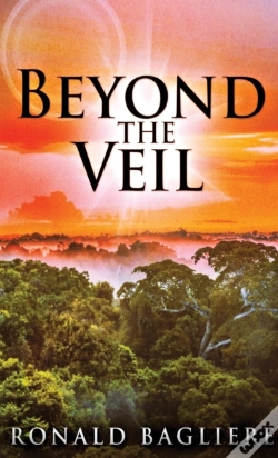 Capa do artigo Beyond The Veil