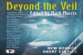Beyond The Veil