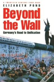 Capa do artigo Beyond The Wall