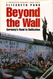 Capa do artigo Beyond The Wall