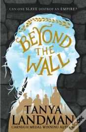 Capa do artigo Beyond The Wall