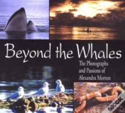 Capa do artigo Beyond The Whales
